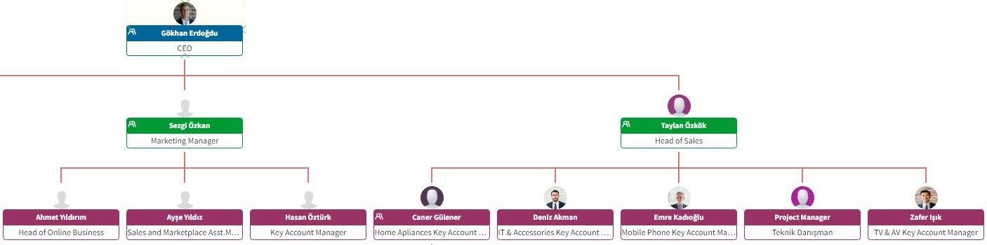 MechSoft Blog - Organizasyon Şeması Nedir? - Örnek Yatay Organizasyon Şeması 