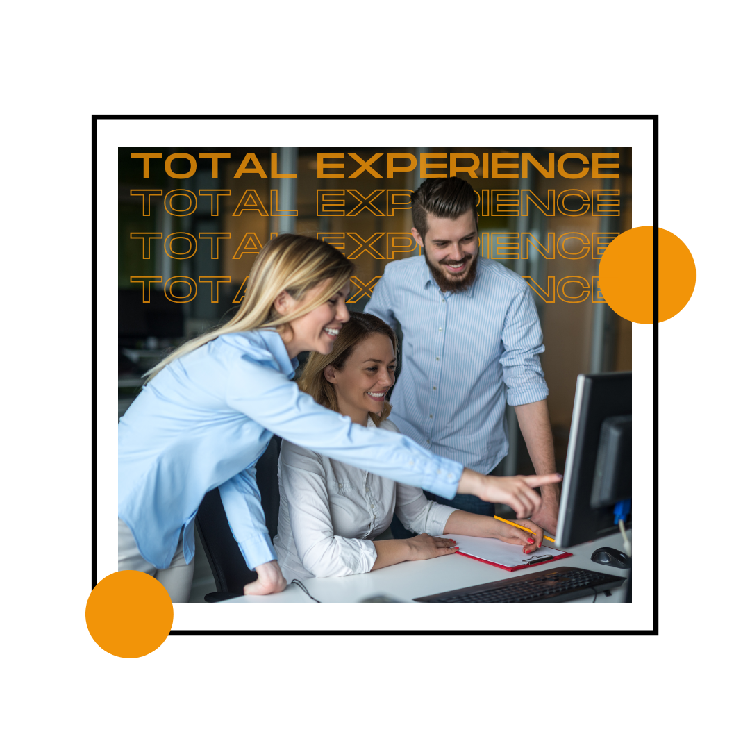 Mechsoft - Total Experience - Toplam Deneyim